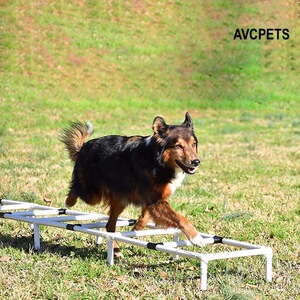 宠物狗敏捷训练跳杆训练优美步态小碎步trotting运动设备器材