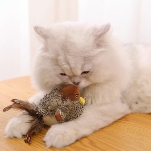 贵为GiGwi猫玩具老鼠仿真小鸟发声逗猫棒幼猫磨牙棒耐咬猫咪自嗨