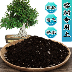 榕树专用土榕树土盆栽营养土通用型有机种植土种花泥土壤肥料包邮