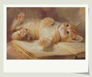 十字绣图纸重绘源文件 油画-书本上睡觉的猫咪