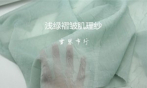 垂感半透明 浅绿色豆绿不规则肌理压皱雪纺欧根纱布料 汉服