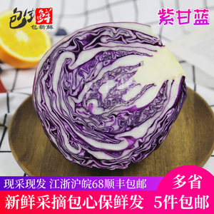 紫甘蓝1000g 紫包球生菜卷心菜红椰菜新鲜蔬菜沙拉菜