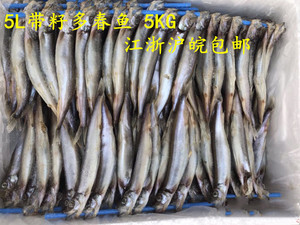 多春鱼5L 5KG 新鲜满籽冷冻多籽深海鱼海鲜烧烤江浙沪皖整箱包邮