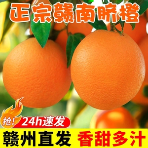 【精选大果】正宗江西赣南脐橙10斤橙子手剥大果新鲜应季正箱水果