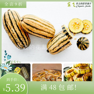 进口南瓜种子 蜂蜜船 超-甜坚果味儿 可食用蔬菜果西葫芦藤本