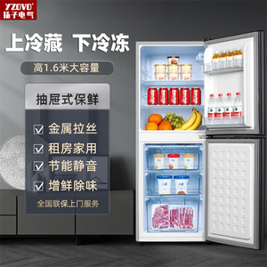 扬子电气无霜双门式电冰箱冷藏冷冻小型家用宿舍一级节能两门冰箱