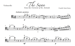 《天鹅》-圣桑 大提琴独奏谱+钢琴伴奏谱+伴奏音频mp3