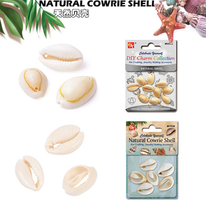 DIY天然贝壳吊坠 海螺 narual cowrie shell charm collection