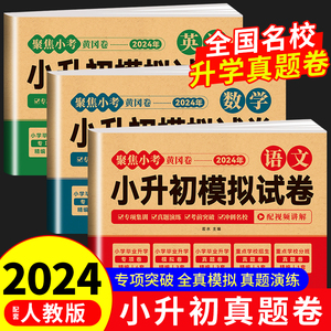 2024年小升初真题卷语文数学英语必刷题人教版小学毕业升学总复习资料六年级下册试卷测试卷全套练习册名校模拟期末专项训练书卷子