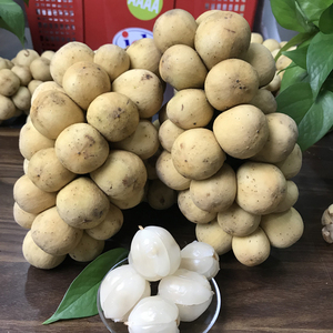 泰国进口龙宫果2斤/3斤精选果新鲜泰国特产枇杷椰色果龙贡果时令
