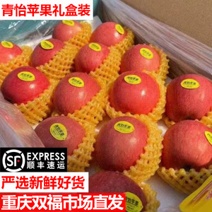 青怡苹果中果12~14个五斤礼盒装脆甜口感陕西洛川红富士双福顺丰