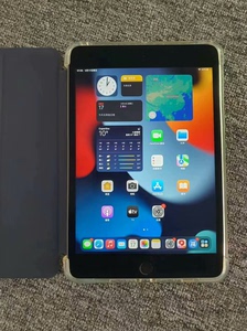 iPadmini4128g 95新 wifi版 深空灰
