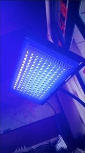 200w紫光灯uv固化灯LED紫外线蓝晒球鞋去氧化贴膜uv胶