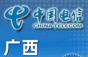 话费充值  广西电信湖南电信宁夏电信青海电信电话费直充中国电