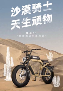 福利来袭！全新雅迪骑兵01高配复古电踏车，一台黑色，一台沙漠