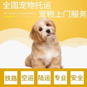 桂林宠物托运，可提供24小时上门服务 【☞全国宠物托运中转☜