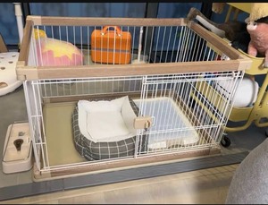 惠南家庭式狗子接寄养，爱丽丝狗笼，一狗一笼消毒，包含宠物尿垫