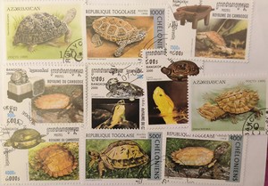 整理乌龟邮票一套，实物拍摄，所见即所得，各个国家乌龟套票！1