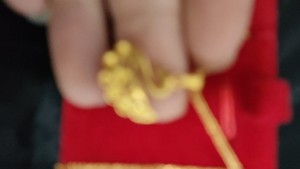 香港六福买的肖邦项链（圆款）和天鹅吊坠，项链是千足金，5.1