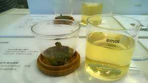 emoi基本生活 预售 竹盖玻璃三件杯