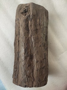 带树皮笔筒花插木化石重器笔筒，带树神之眼的石化的杠杠的品相完