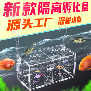 鱼箱漂浮式金波子高清小龟保护分隔带盖单双多格水族箱鱼生孵化盒
