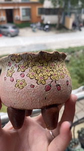 韩国jaya粗陶花盆。花瓣形口径。非常漂亮。口径7.5厘米，