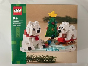 正品乐高LEGO积木 冬日系列