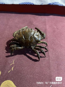 日本回流 摆件 置物 茶宠 螃蟹造型 纯铜制 底部带款 日本