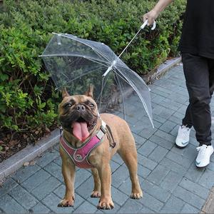 2024新品狗狗雨伞宠物雨伞泰迪比熊小型犬小狗宠物雨衣雨披用品带