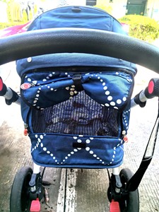 帕琦高景观婴儿车，赠送睡篮。车可折叠，自带遮阳布，可双向行驶