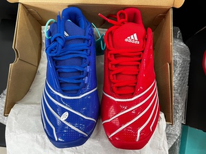 麦迪2篮球鞋，44码，红蓝鸳鸯配色，自己买了一双蓝的一双红的
