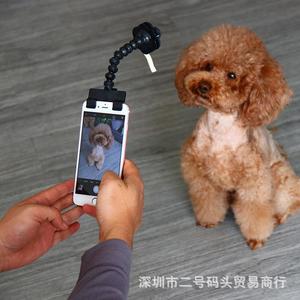 宠物用品自拍神器pet selfie stick狗狗猫咪玩具看镜头手机夹子