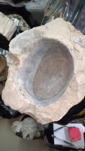 木化石全皮  可以做大笔筒 花盆 聚宝盆