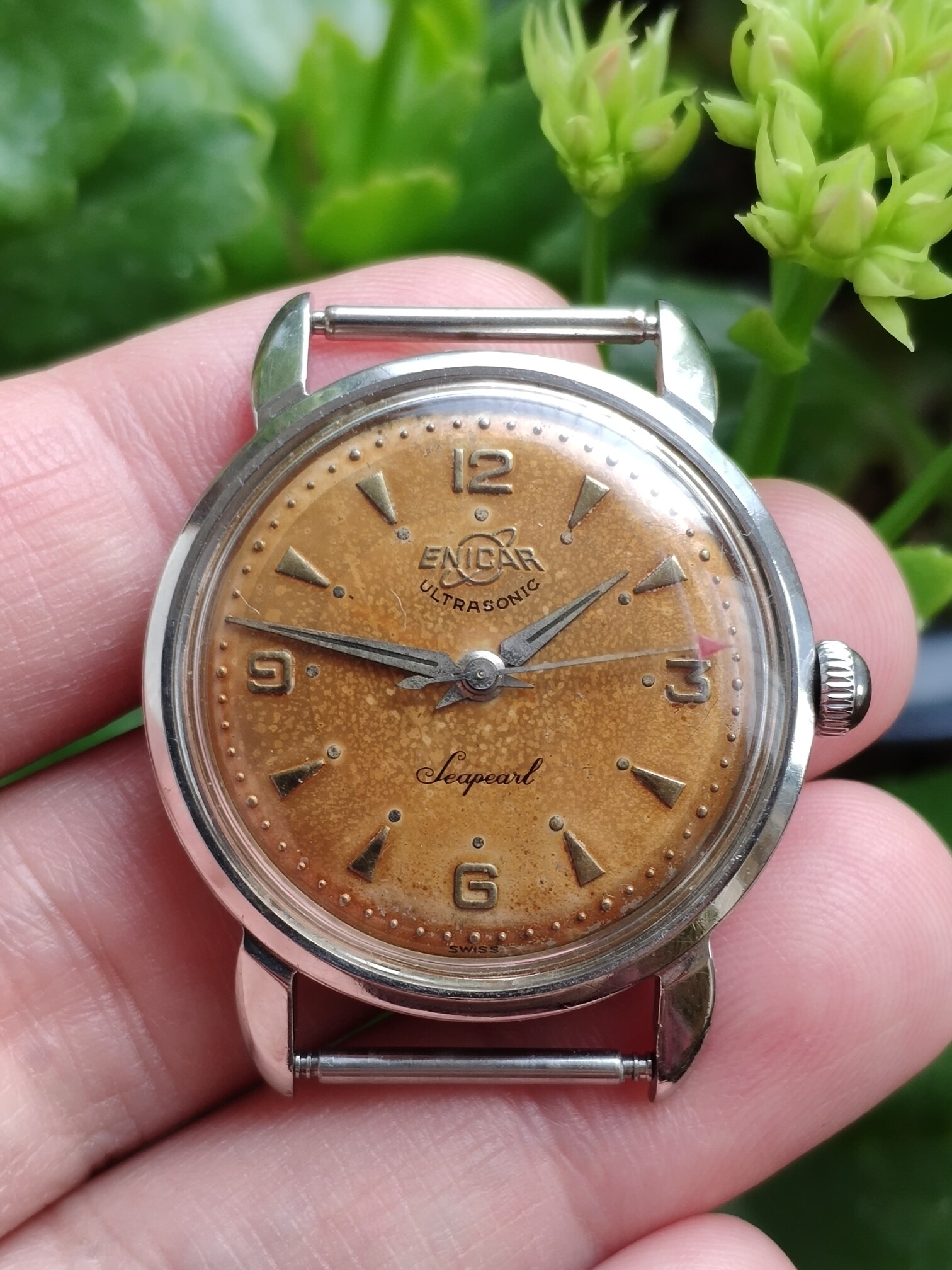 古董天梭手表价格及图片
