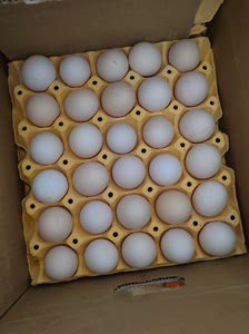 一板30个鸡蛋，只要16.89块钱要的联系（吉隆镇金华四路）