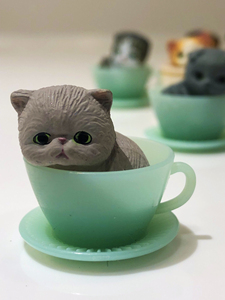 茶杯猫，可爱到不行 ，一组8个，30元，不包邮。万代