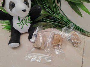 宝贝:磨牙小木瓜墩（一包一个，独立包装）