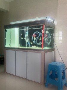 彩蝶龙潭新兵鱼缸，1.53mx68cm，带灯架，不砍价，电梯