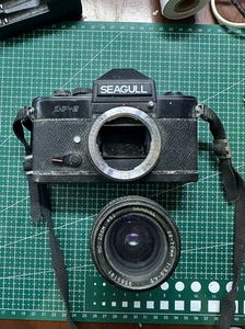 SEAGULL海鸥相机DF-2 当道具出，什么也不包，售出不