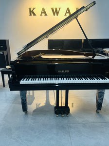 海伦三角钢琴150SE，2019年购买，整体成色95新，已经