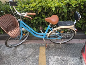 蓝岛轻便自行车，专卖店里600买的，骑行不到50公里，自己加