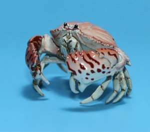 海洋堂 螃蟹 甲壳类 万代 生物大图鉴