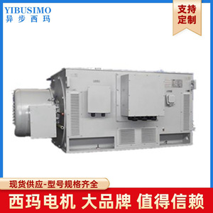 YR方箱绕线高压电机YR5004-8 400KW 10KV IP23 F PT100带加热器
