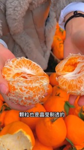 【新品特惠】四川春见耙耙柑时令水果粑粑当季新鲜丑柑橘应季蜜橘
