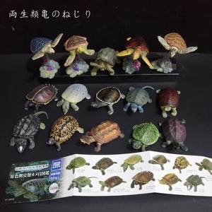 外贸尾货TAKARA TOMY扭蛋原色爬虫类乌龟海龟大全套1