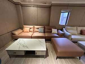 CTNR集装箱家居生活馆-星港家居-科技布沙发直排3.4米+