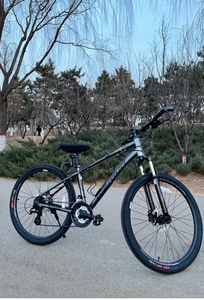 旗舰店买来锻炼用的闲置捷安特atx660自行车 纯原装正品