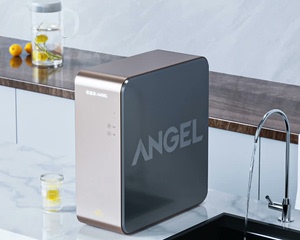 全新正品安吉尔（Angel）小金砖净水器