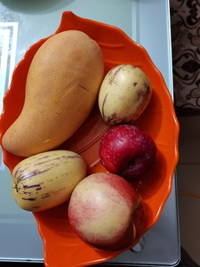 出一份新鲜可口的水果拼盘，包含了芒果、桃子、油桃和李子等多种